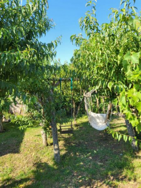 Vila Hipo